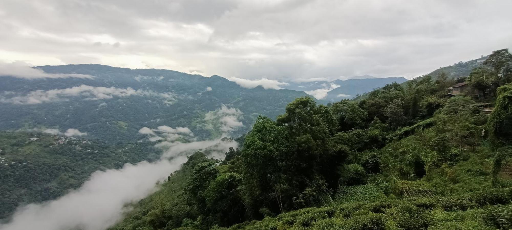 Tharbaling Homestay ダージリン エクステリア 写真